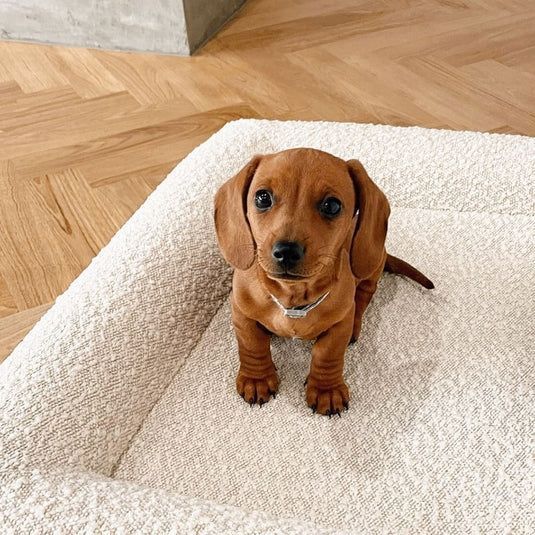 Rectangular Bed Sofa Nest Pet Kenels
