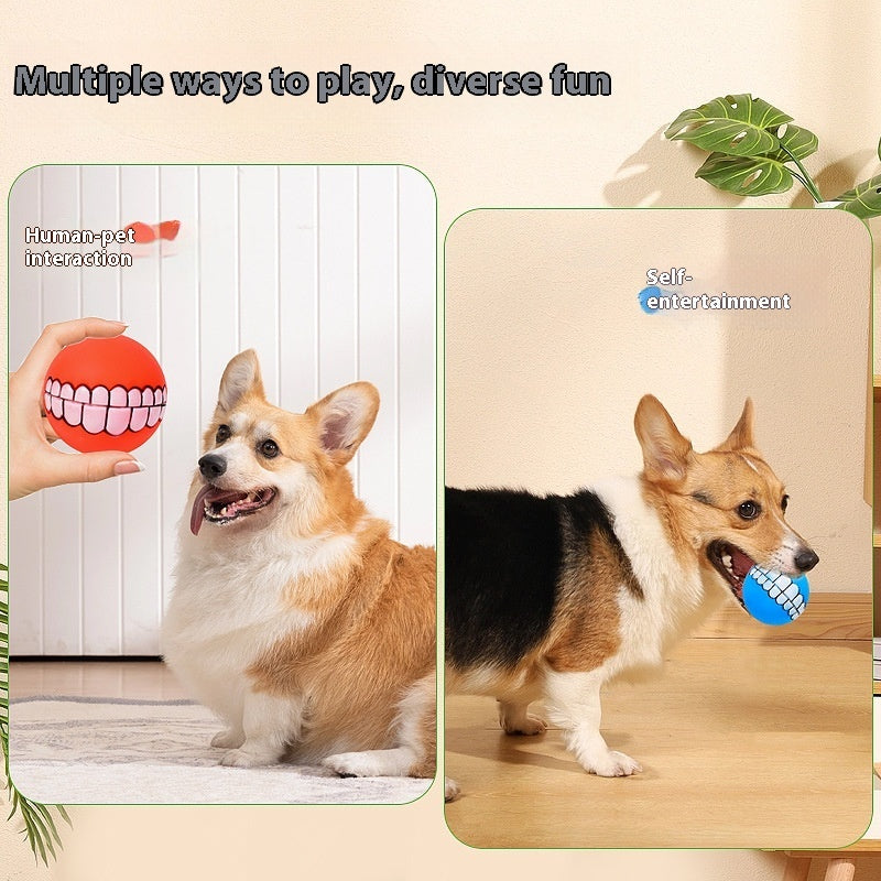 Vocalization Bite-resistant Molar Pet Toy Ball